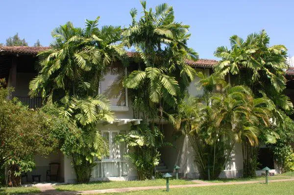 Tropical Villas 3*