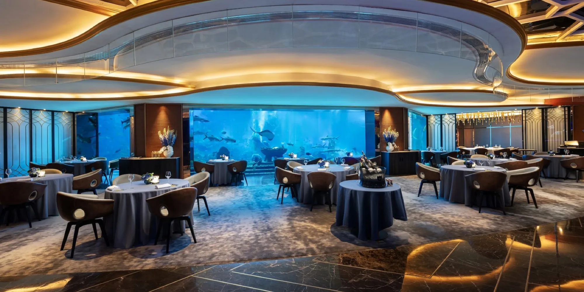 1tx1412000rqq12ad01B7_D_2208_1242_R5.jpg