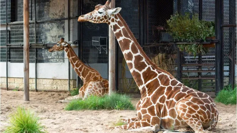 Al-Khor-Family-park-doha.jpg