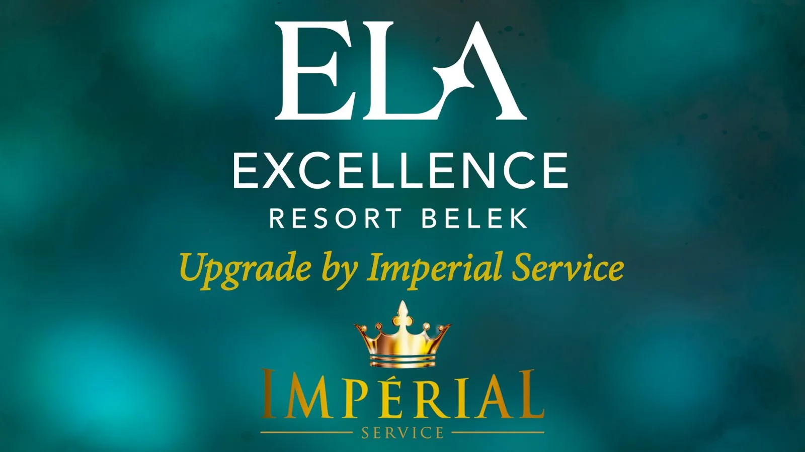 ELA EXCELENCE - IMP BANNER.jpeg
