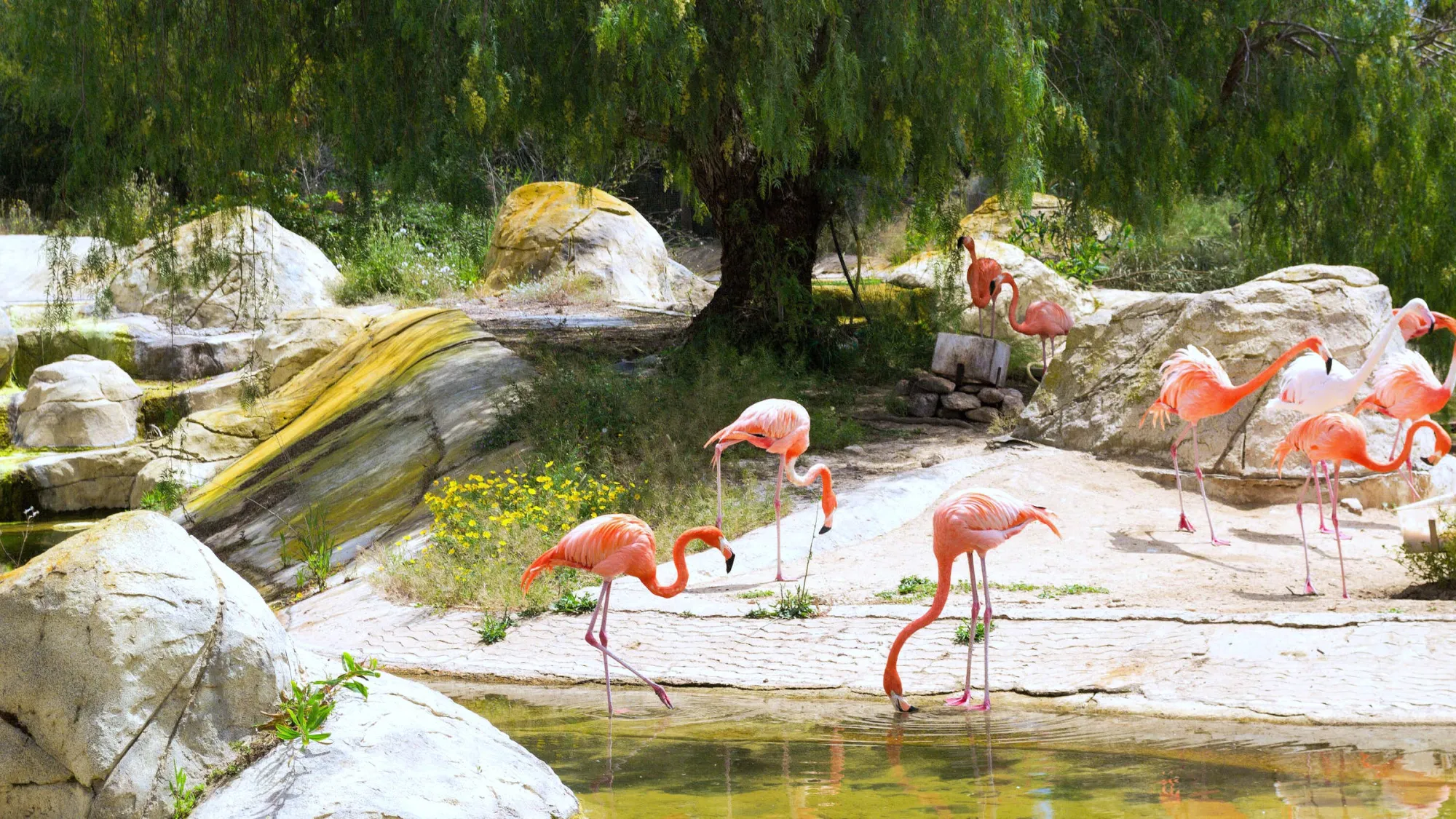 phrygia-park-hammamet-4.jpg