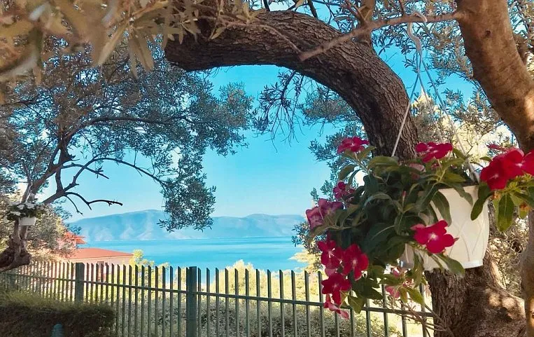 Bregdeti Vila 3*
