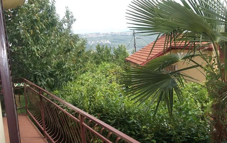 Camelia 4*
