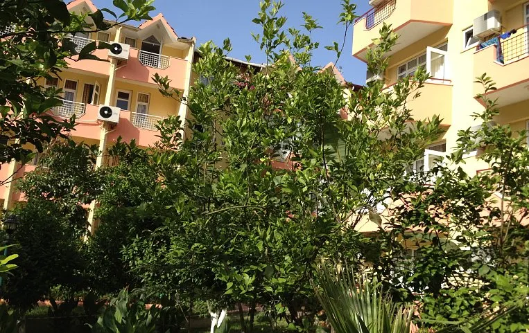Marin Hotel 3*