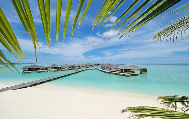 Paradise Island Resort & Spa 5*