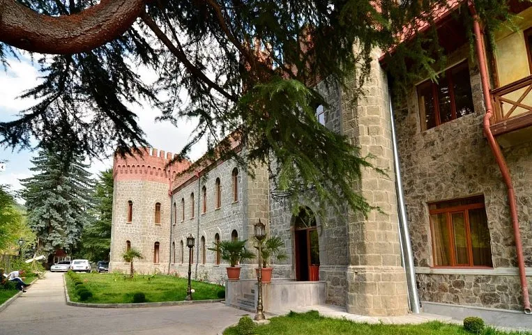 Borjomi Palace 5*
