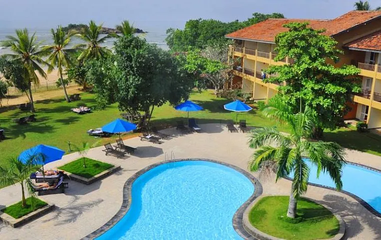 The Palms 4*