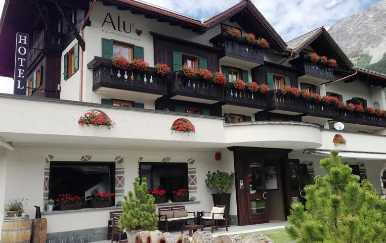 Alu 3*