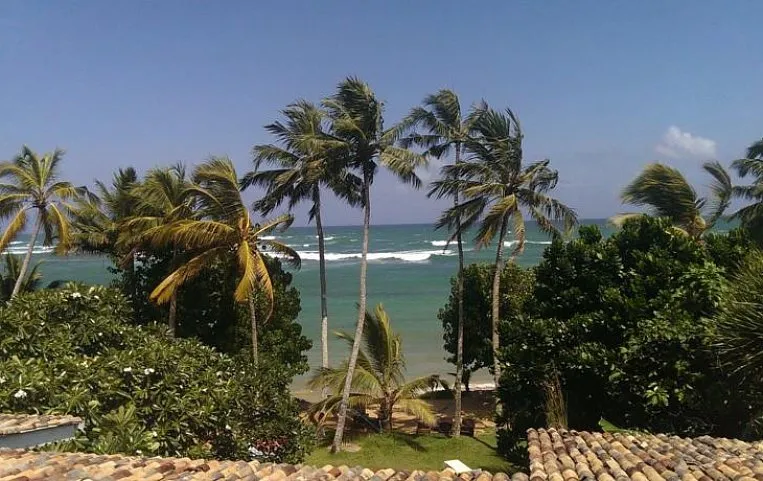 Palm Villa