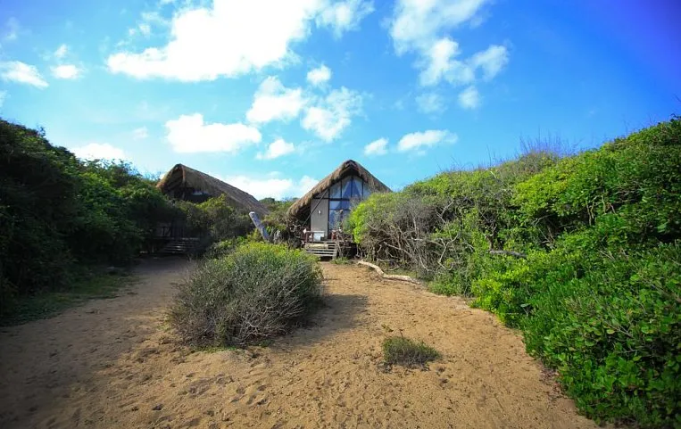 Jungle Beach Hotel 4*+
