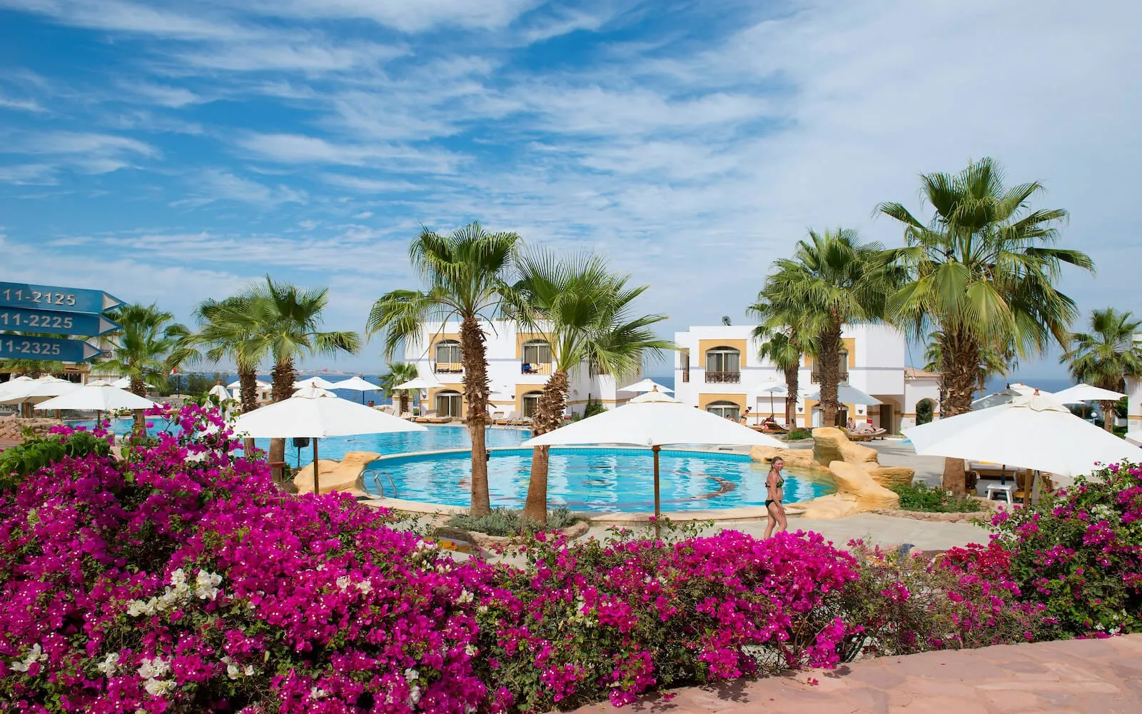 Amphoras Blu (Adults Only 16+) 4*
